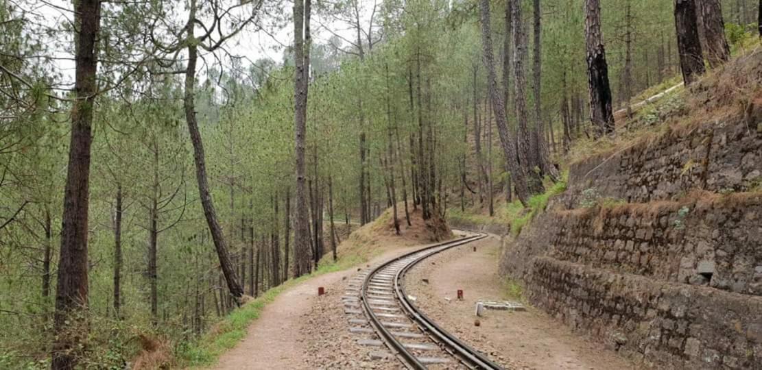 Kanda Road 4 Leilighet Kasauli Eksteriør bilde