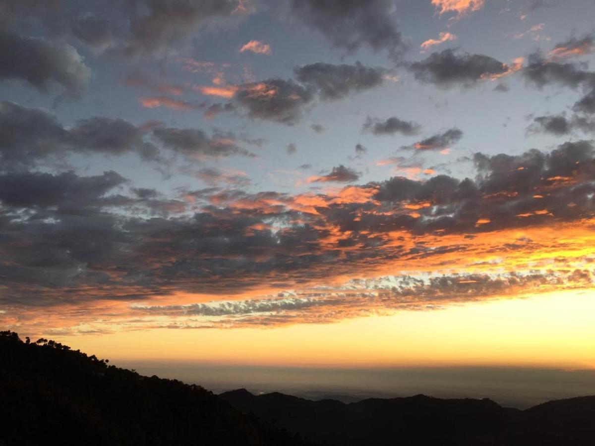 Kanda Road 4 Leilighet Kasauli Eksteriør bilde