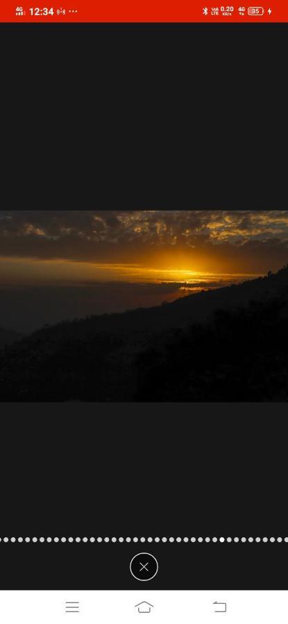 Kanda Road 4 Leilighet Kasauli Eksteriør bilde