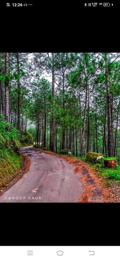Kanda Road 4 Leilighet Kasauli Eksteriør bilde