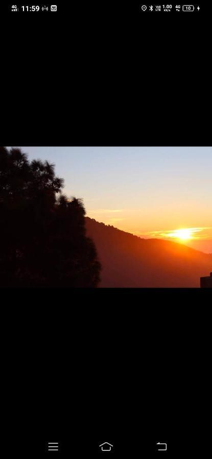 Kanda Road 4 Leilighet Kasauli Eksteriør bilde